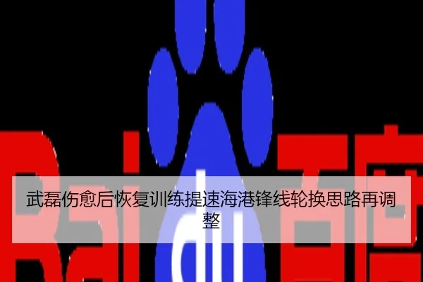 武磊伤愈后恢复训练提速海港锋线轮换思路再调整