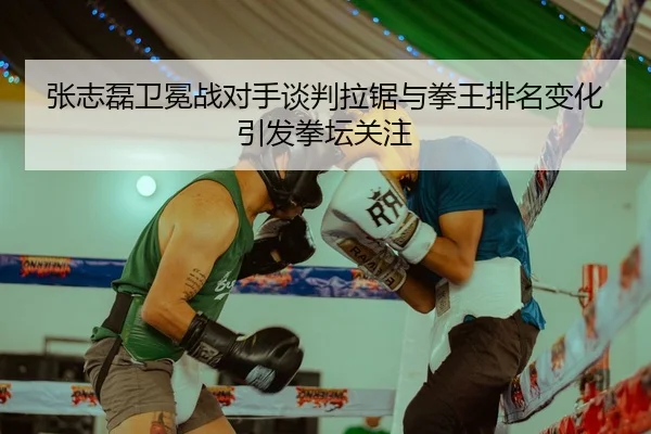 张志磊卫冕战对手谈判拉锯与拳王排名变化引发拳坛关注